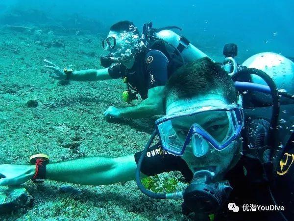 资阳雁江:擦亮地标名片 乡村振兴“橘”势好